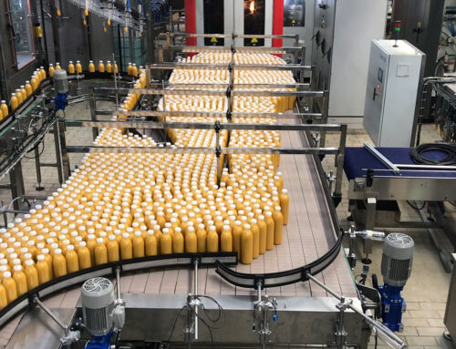 Bottles conveyors for beverage and bottling industry